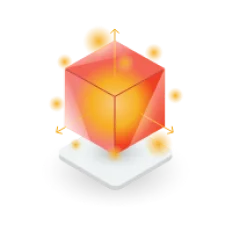 program